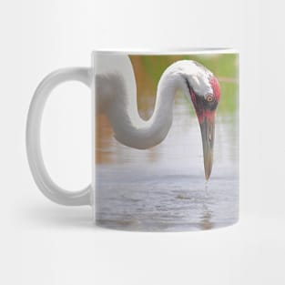 Whooping Crane In Water Mug